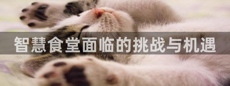 尊龙凯时官方网页