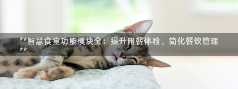 尊龙网址苹果版下载