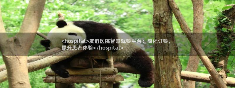 尊龙凯时下载链接