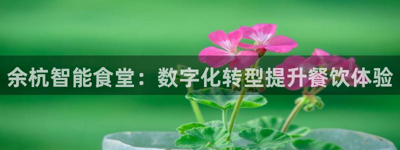 凯时平台怎么样