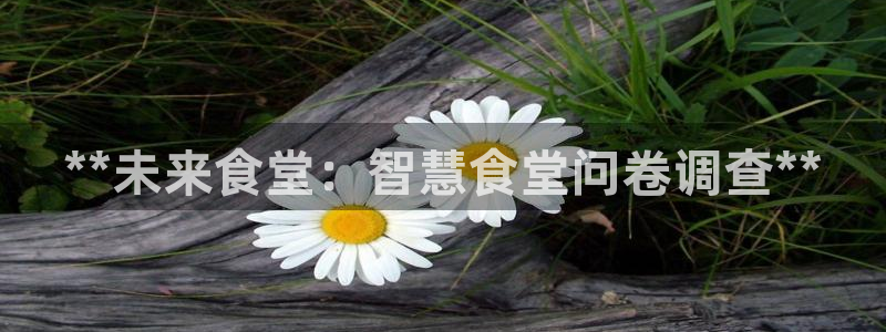 凯时登录平台去AG发财网