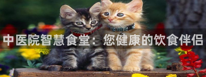 尊龙凯时网页版