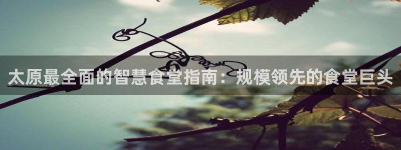 尊龙400