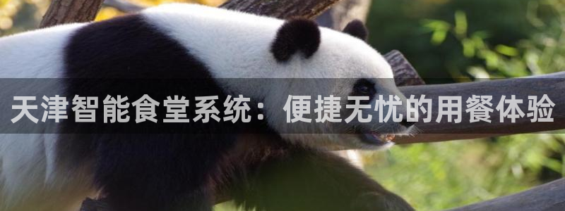 尊龙凯时登陆入口：天津智能食堂系统：便捷无忧的用餐体验