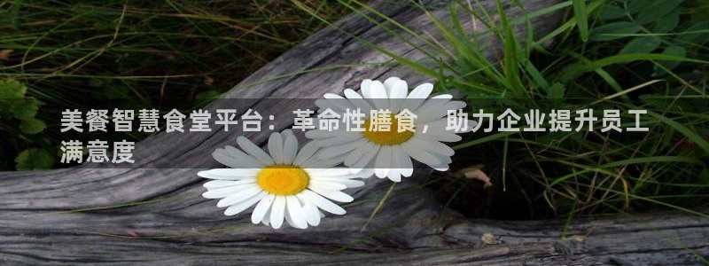 尊龙凯时推荐人：美餐智慧食堂平台：革命性膳食，助力企业提升员
