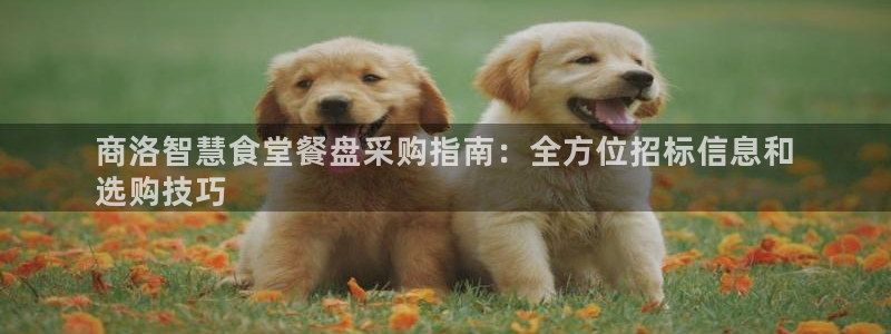 尊龙现金一下S选来就送38