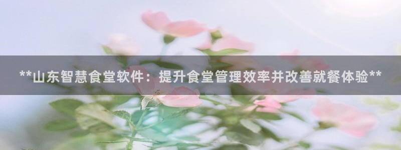 尊龙凯时官网入口：**山东智慧食堂软件：提升食堂管理效率并改