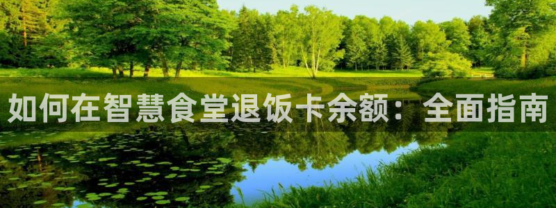 尊龙网站注册站注册：如何在智慧食堂退饭卡余额：全面指南
