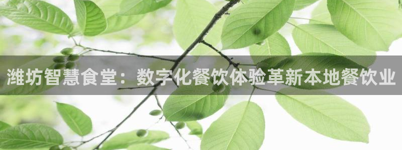 尊龙 5