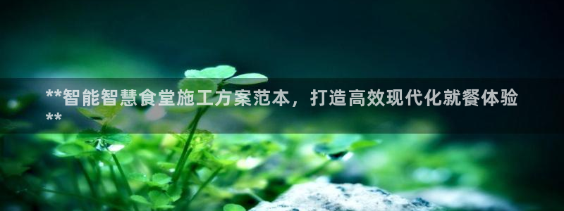 尊龙凯时法充十万返现多少：**智能智慧食堂施工方案范本，打造