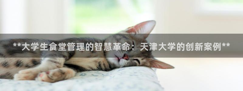 尊龙官网首页：**大学生食堂管理的智慧革命：天津大学的创新案