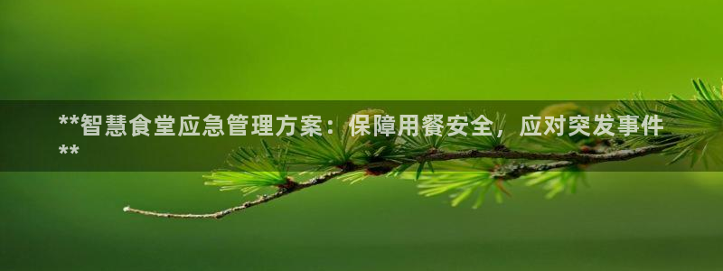 尊龙凯时ag旗舰厅官方网站：**智慧食堂应急管理方案：保障用