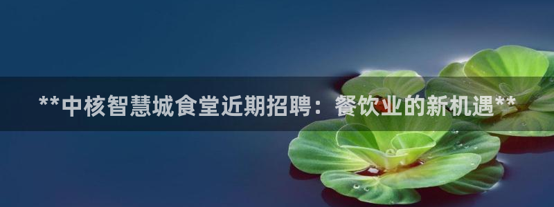ag旗舰平台尊龙代言：**中核智慧城食堂近期招聘：餐饮业的新