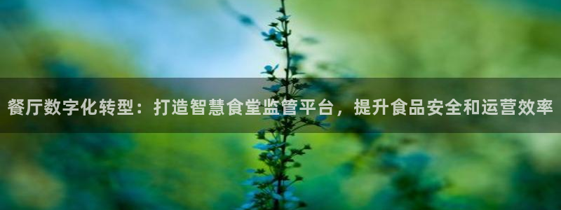 z6com尊龙凯时：餐厅数字化转型：打造智慧食堂监管平台，提