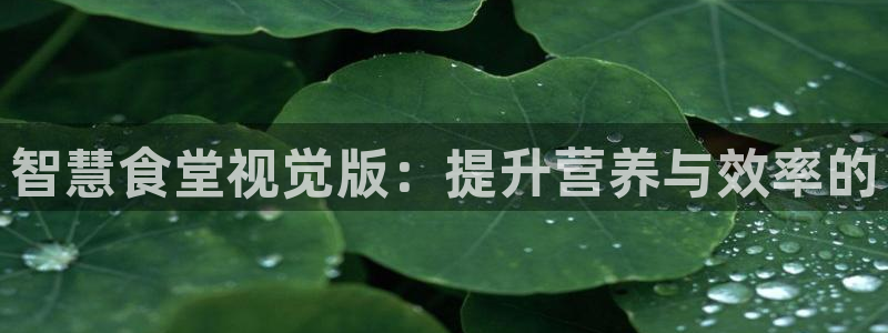 凯时网址多少