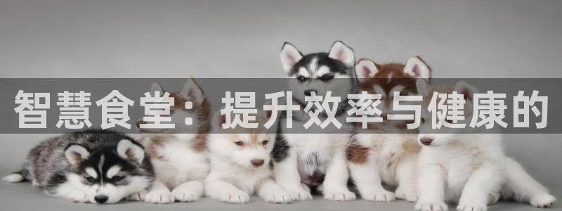 尊龙凯时旗舰厅百家乐下载